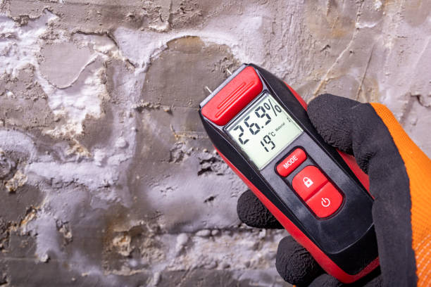 Best Bathroom Mold Remediation in Ofallon, IL