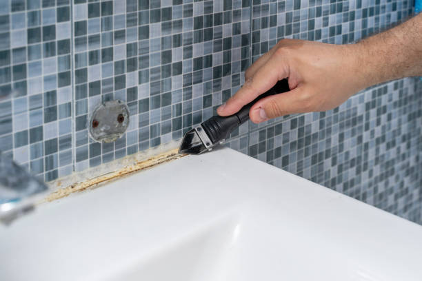 Best DIY Mold Remediation Support Services in Ofallon, IL